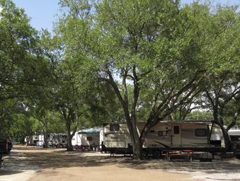RV sites under large trees with concrete pads and pull‑through rigs — clear view of the campground's RV accommodations as shown in site background images.