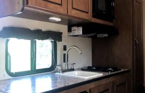 2017 Forest River RV Salem Cruise Lite 177BH