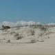 Salty Sandy Happy!