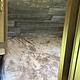 2019 Dutchmen RV Coleman Light 2405BH