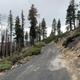 A photo of part of the road to Yosemite Creek Campground.