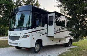 Forest River Georgetown 351DS