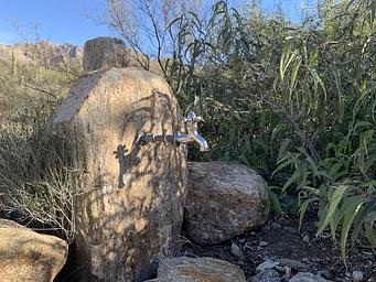 a water spigot coming out of a rock