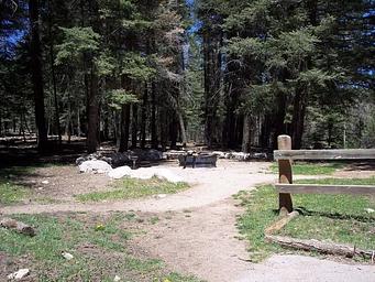Black Bear Group Area