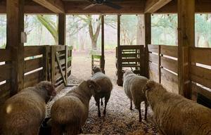 All-Inclusive Travel Trailer Getaway By The Marsh!