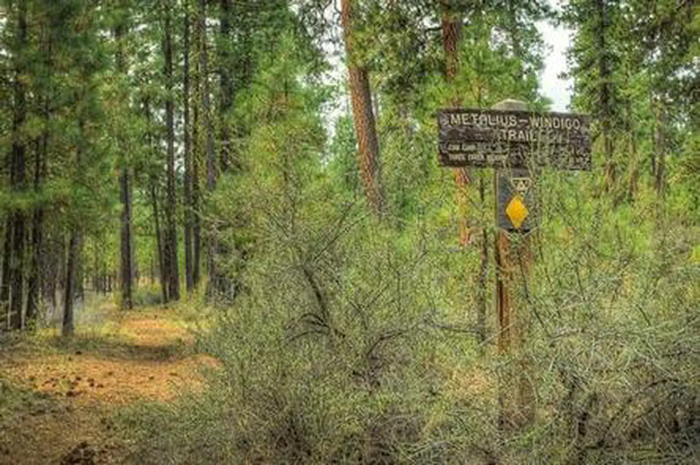 Graham Corral Horse Campground