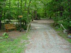 Willey Brook Campground