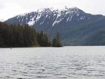 ALLAN POINT CABIN3