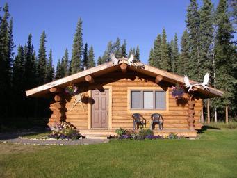 Log cabin with wooden porch and flower baskets, set in a sunny pine forest clearing