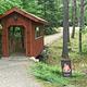 Covered Bridge at Pine Haven Campground