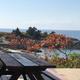 Wooden picnic table overlooking rocky coastline and ocean.