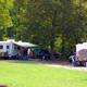 RV campsite row with multiple RVs and shaded grassy areas — shows typical RV pitches and campsite layout on the property.