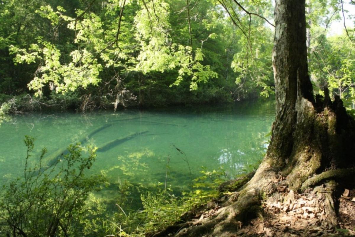 Blue Spring