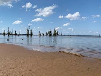Cottonshed Park (AR)