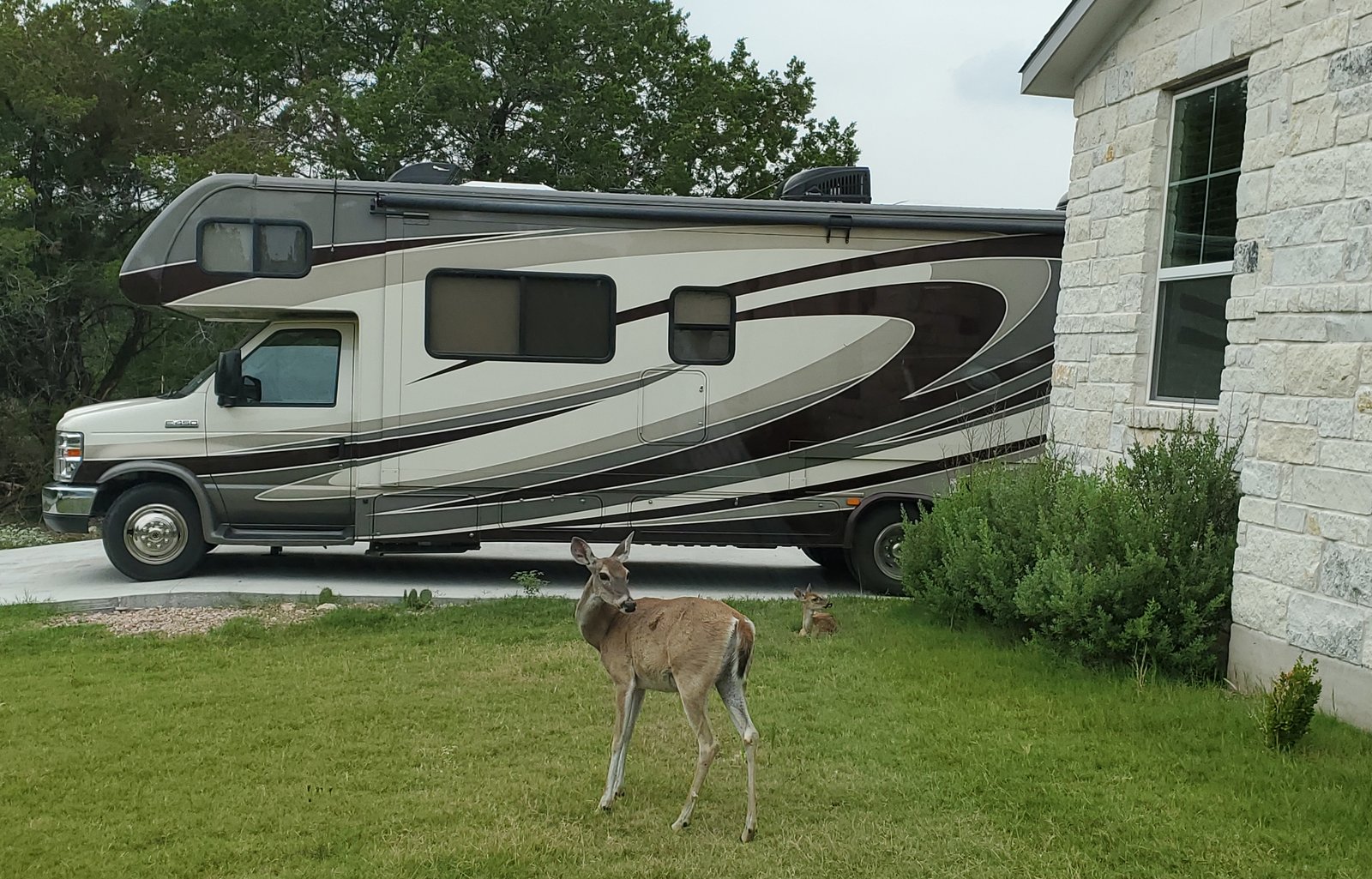 2016 Forest River RV Sunseeker 3050S Ford