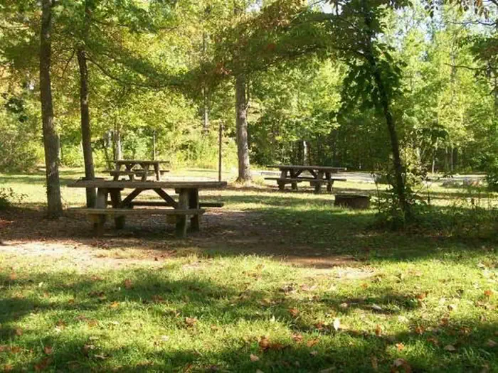 Chilhowee Group Camp