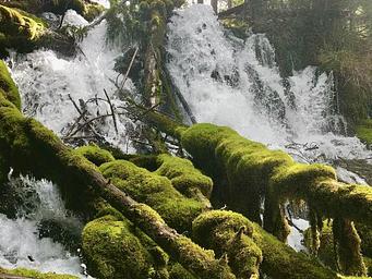 Clearwater Falls