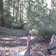 NORTH FORK CAMPGROUND (OR)