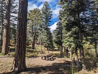 Dispersed picnicking 