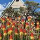 Campspot slideshow image 1
