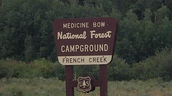 French Creek Campground (WY)