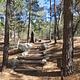 Path to site 1.
