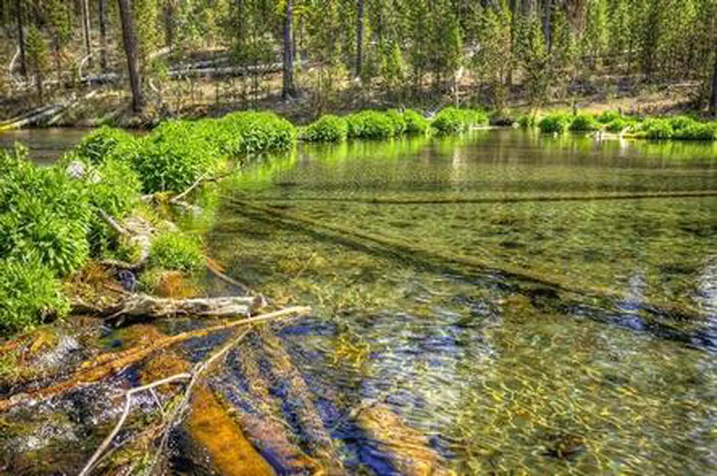 Fall River Campground