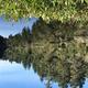 Conifer trees reflected on still lake under blue sky.