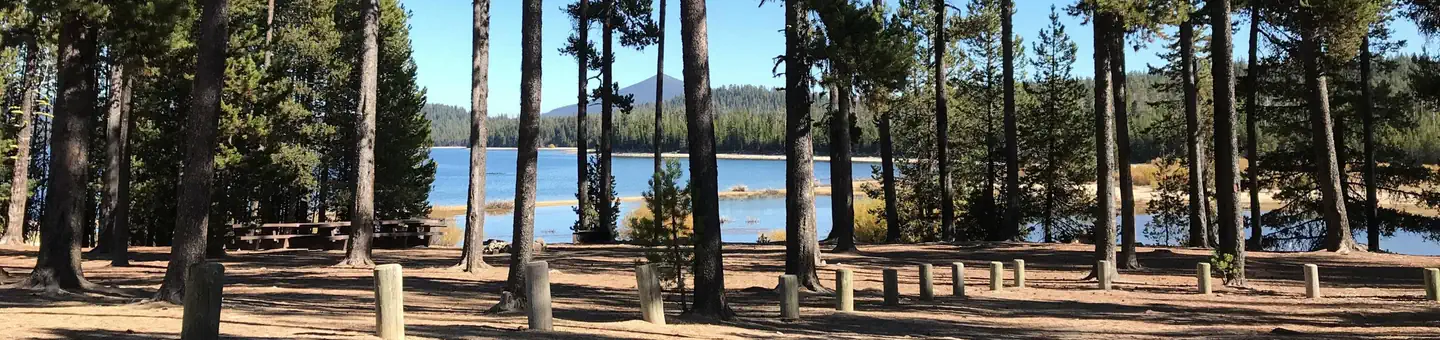 Contorta Point Group Camp