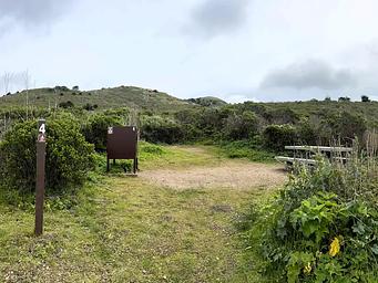 Campsite with picnic table and bear box surrounded in trees.