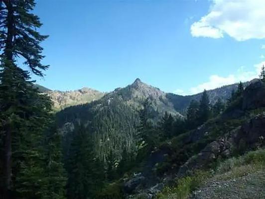 001, Loop: AREA CARTER MEADOWS HORSE GROUP