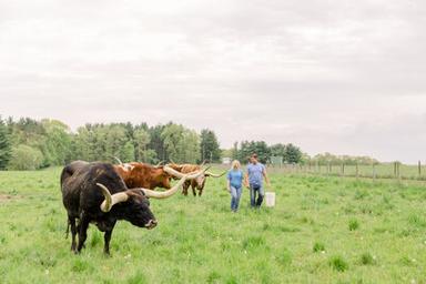 CF Ranch & Cattle Co.