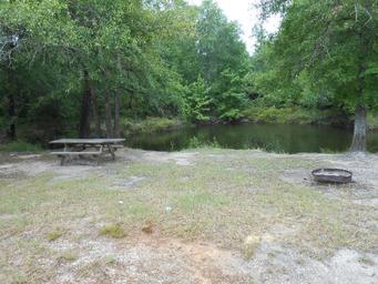 Campground image 3