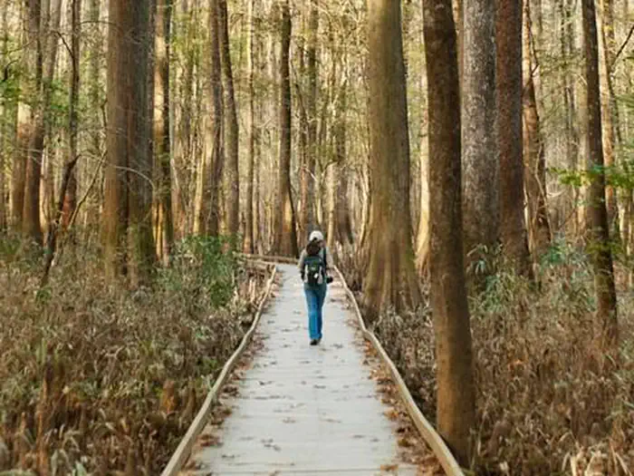Bluff Hike in Camping