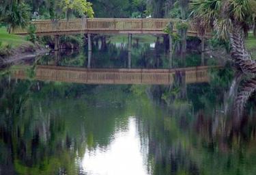 Wooden footbridge over a reflective waterway surrounded by palms and oaks — showcases the resort's lakeside scenery and walking features.