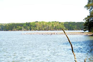 Galt's Ferry Day Use Area (GA)