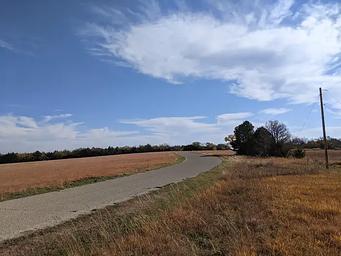 Curtis Creek - Loop D Coast