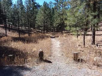 Jemez Falls Campground