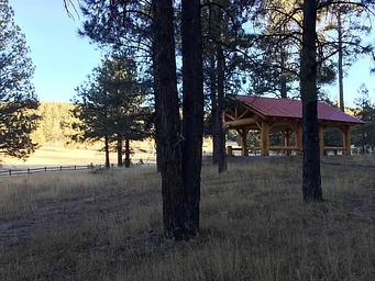 Amole Shelter with Meadow view