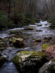FLATWOODS GROUP PICNIC AREA