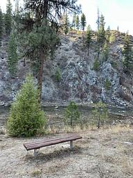 Bench in front of river