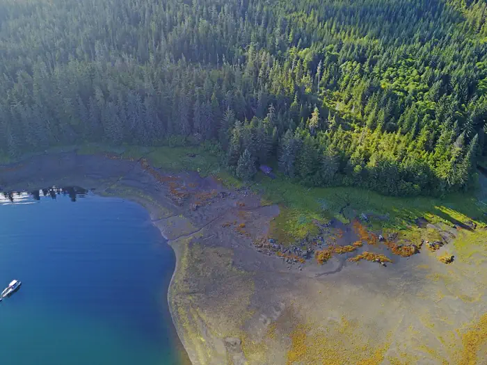 Appleton Cove Cabin