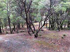 Hayden Flat Campground