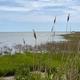 Thousand Trails Virginia Landing