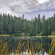 Lake in the Woods