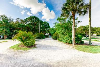 Another perspective of the campground drives and landscaped RV sites with palm trees and utility poles — complements the RV site overview images on the property pages.