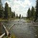 COW MEADOW CAMPGROUND