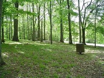 JEFFERSON SPRINGS - picnic sites