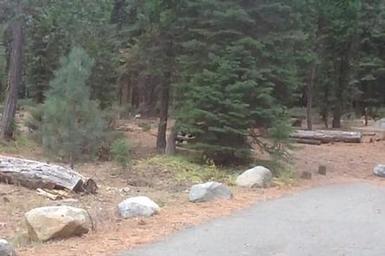 LEWIS at FRENCH MEADOWS