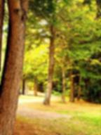 Rest N' Nest Campground